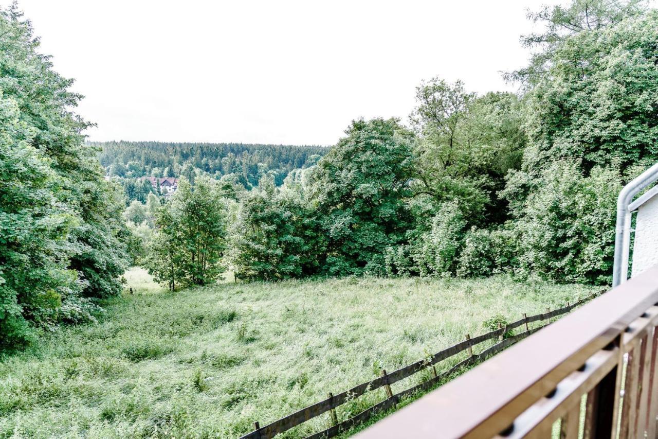 Wiesenblick Гослар Экстерьер фото